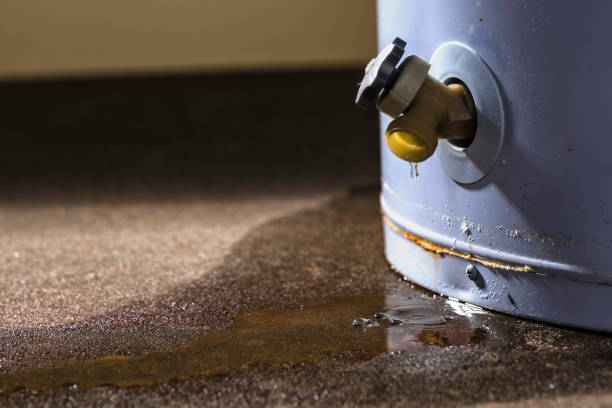 Best Carpet water damage restoration  in Concordia, KS